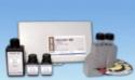 Coffret ultrasensible de mesure du Fer :  0,01�0,20 mg/L Fe